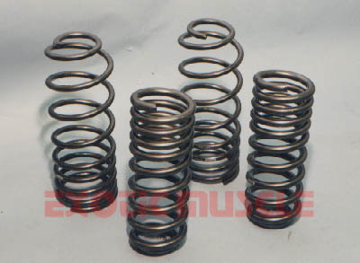 EIBACH SPRINGS PRO KIT