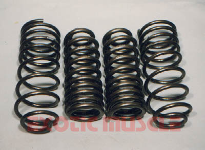 EIBACH SPRINGS SPORTLINE